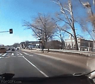 Fatal GIFs .